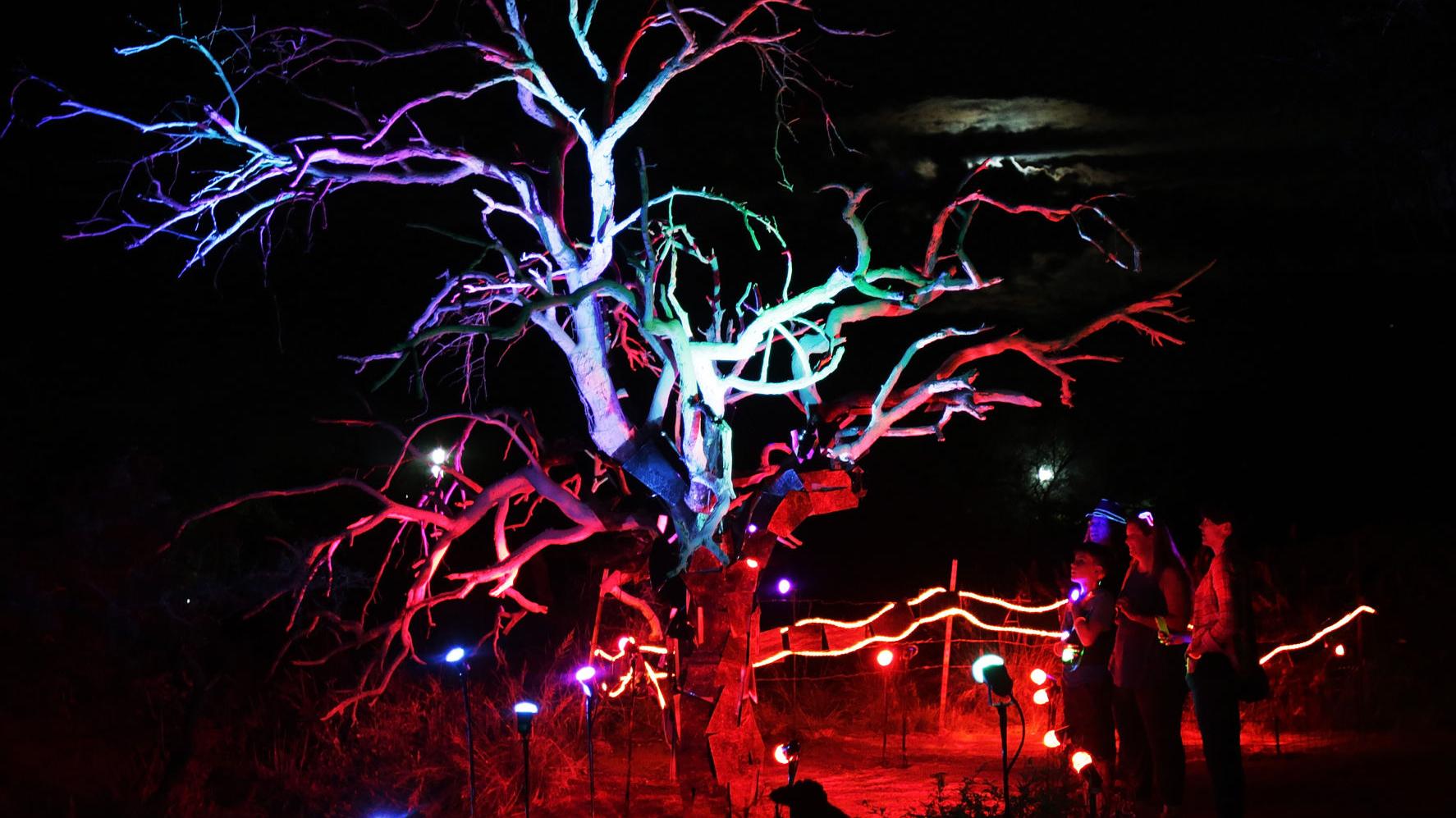 GLOW! 2017 festival in Oracle